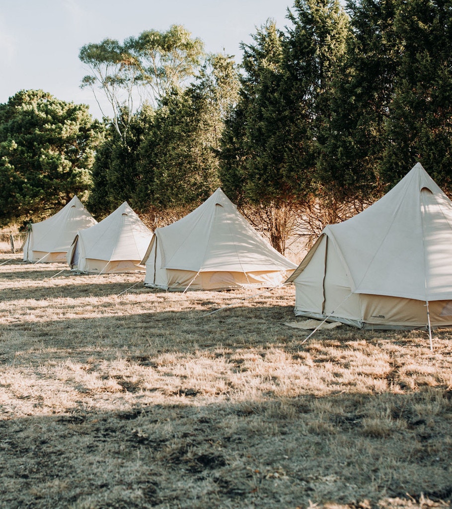 A collection of tents setup for glamping.